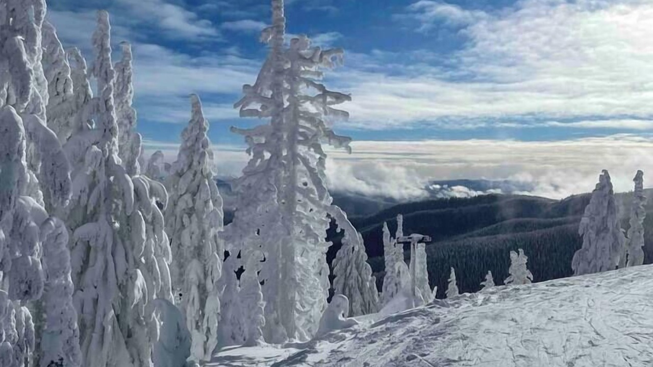 Photo of Others in Shoshone County