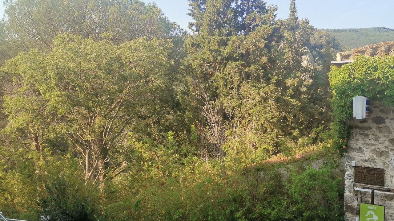 Photo of Outdoor in Molitg-les-Bains