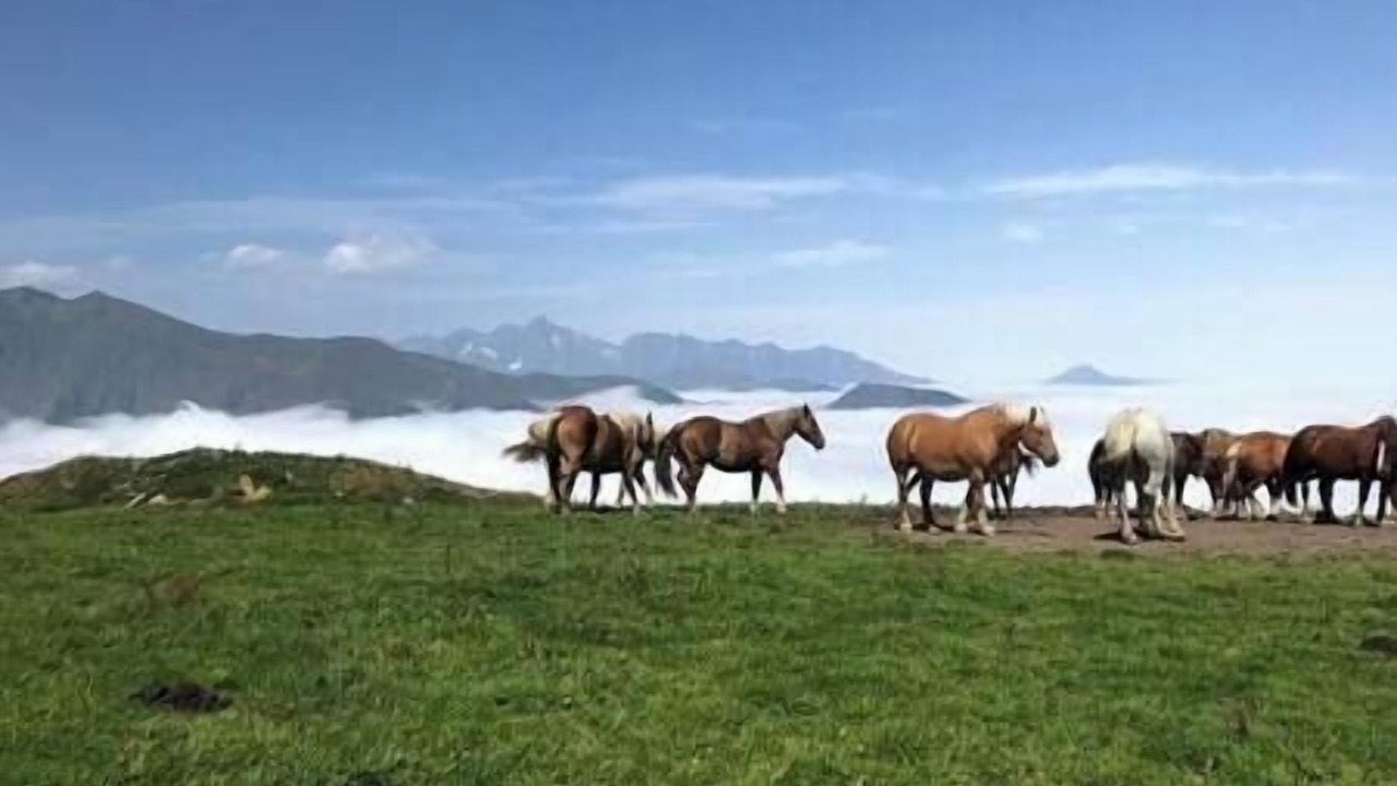 Photo of Others in Guzet Neige