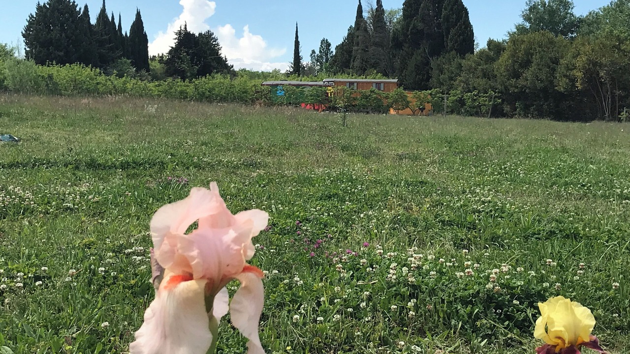 Photo of Outdoor in St.-Remy-de-Provence