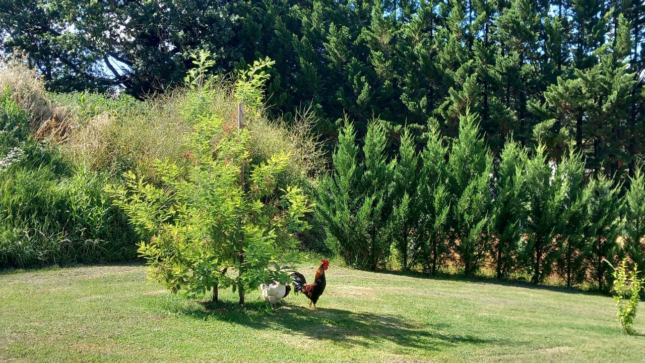 Photo of Outdoor in Perville
