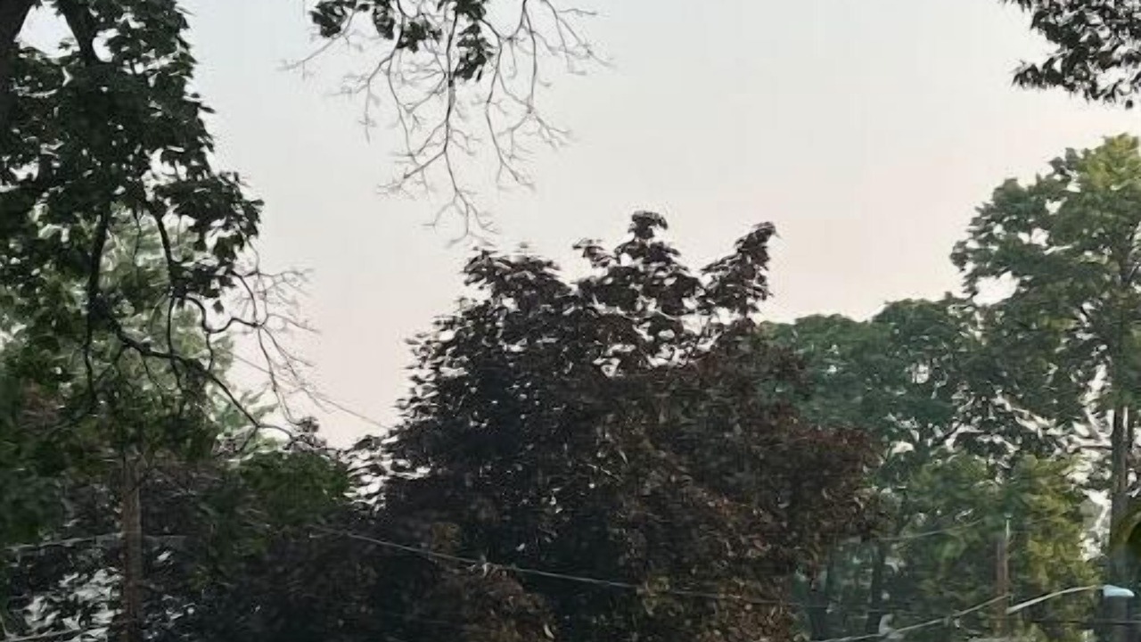 Photo of Outdoor in Rutherford