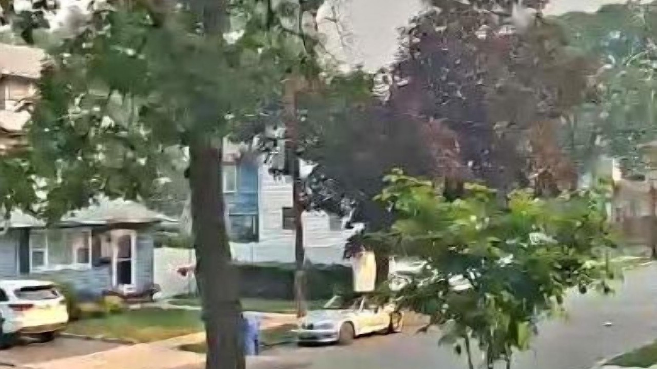 Photo of Others in Rutherford