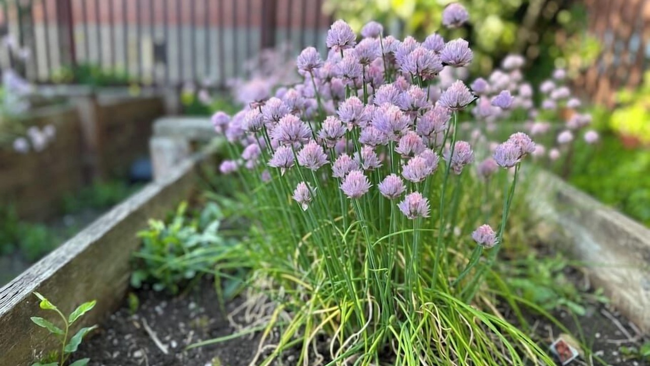 Photo of Outdoor in Chehalis