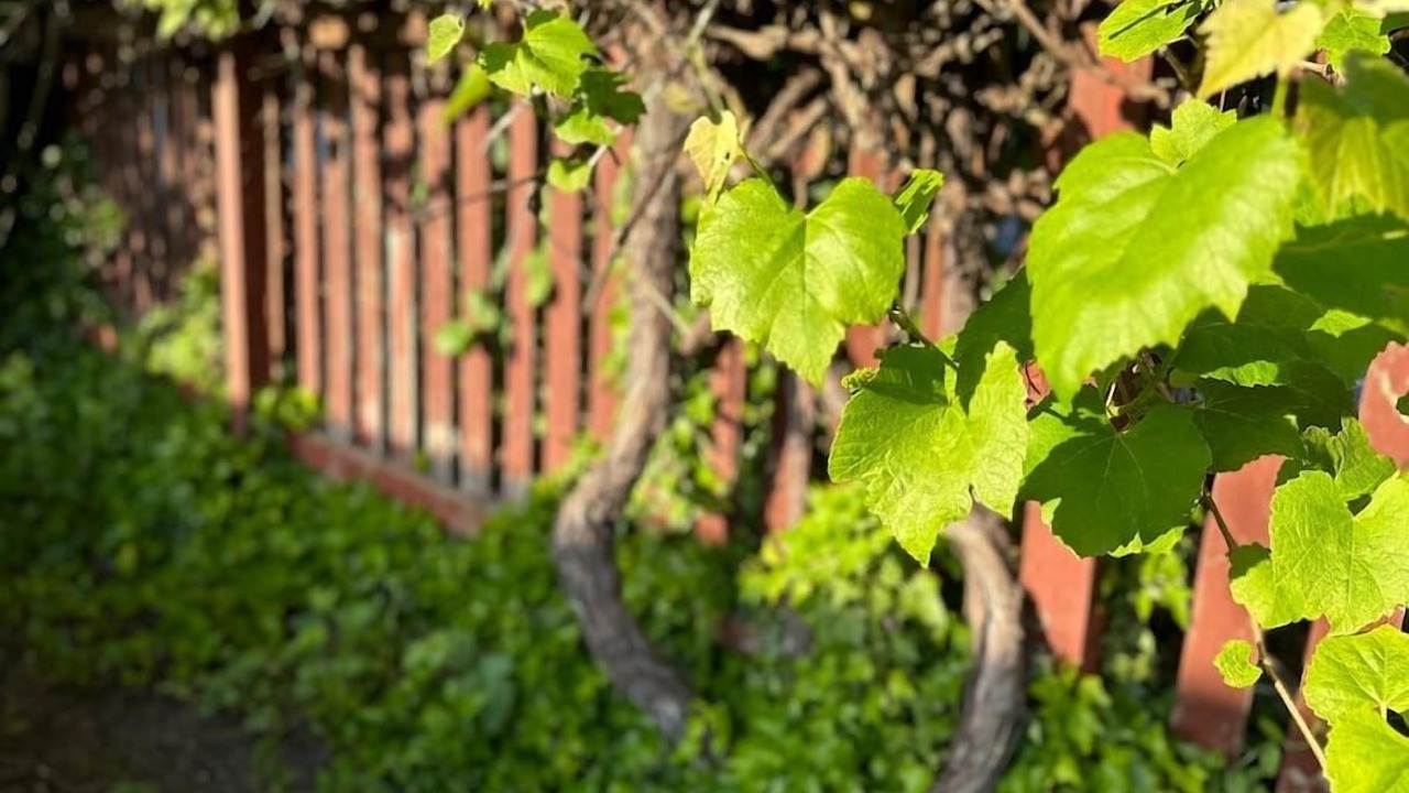 Photo of Others in Chehalis