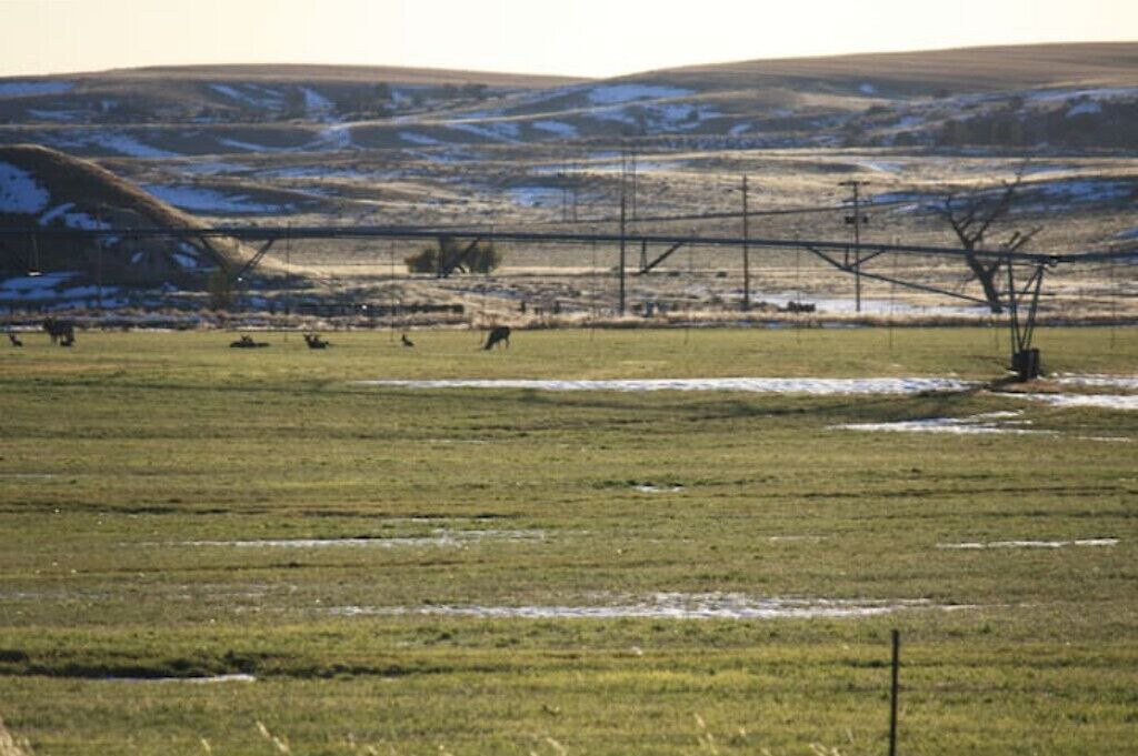 Photo of Others in Fort Laramie