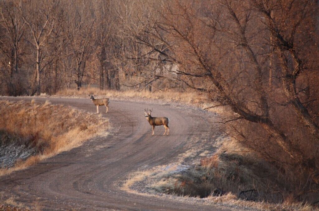 Photo of Others in Fort Laramie
