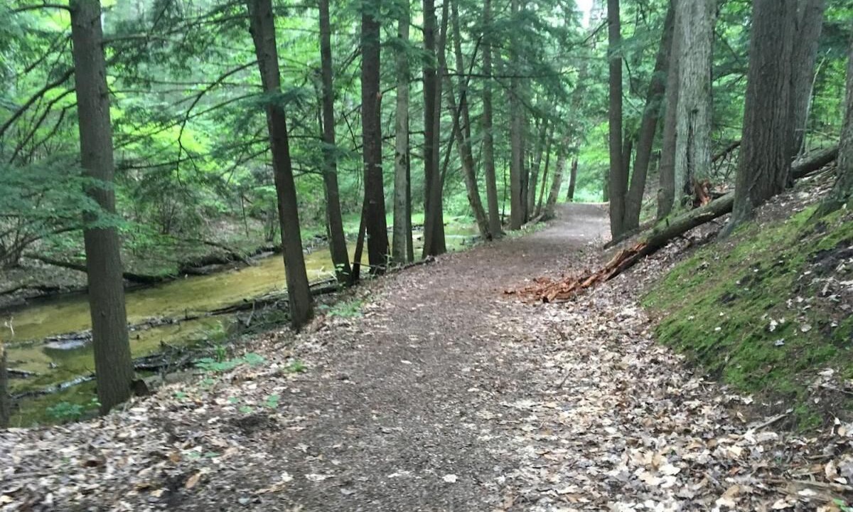 Photo of Outdoor in Lake Ann