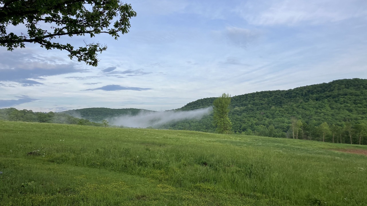 Photo of Outdoor in Kingston