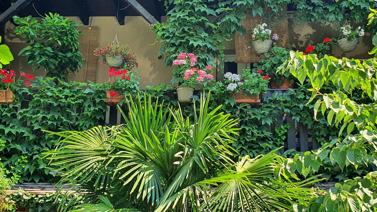 Photo of Outdoor in Soultz-Haut-Rhin