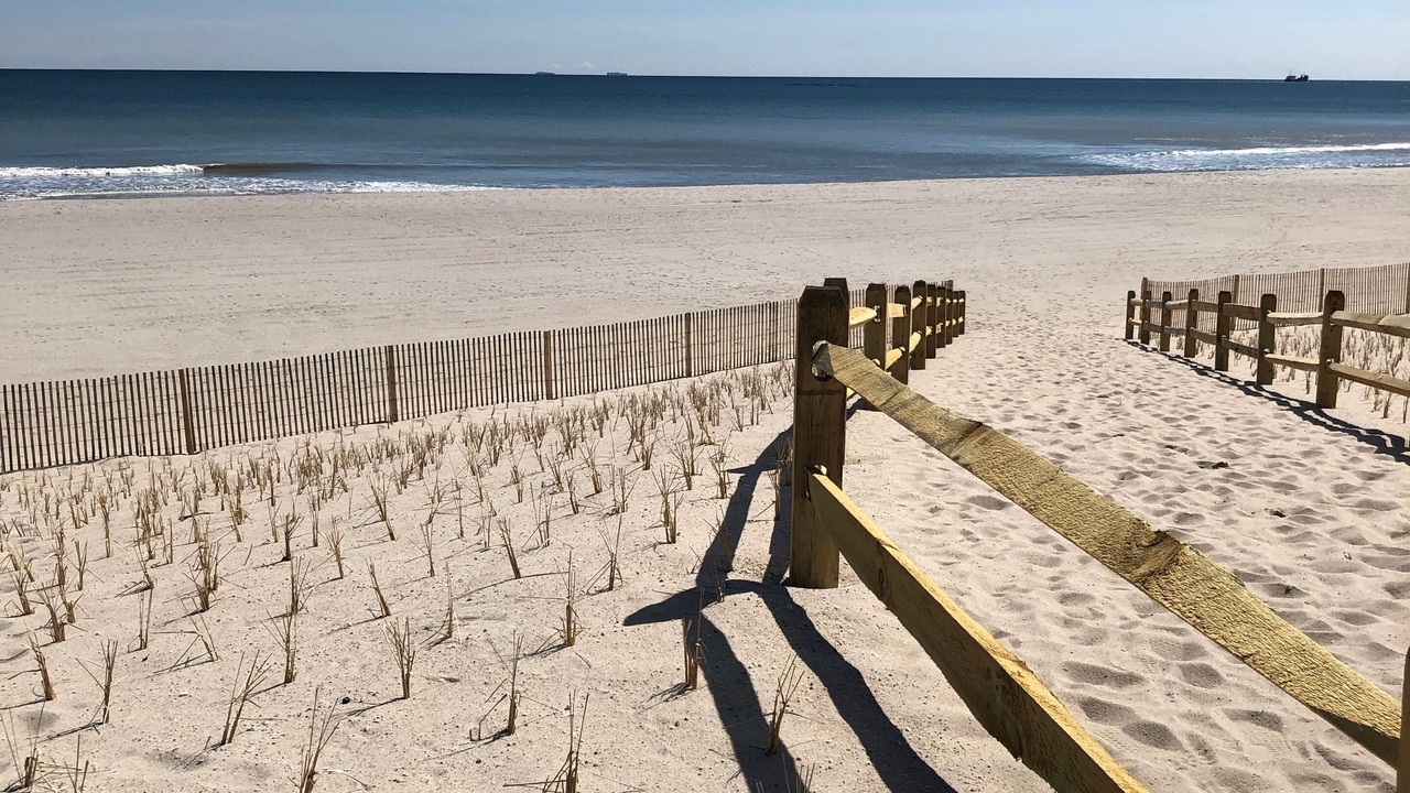 Photo of Others in Ocean Beach I