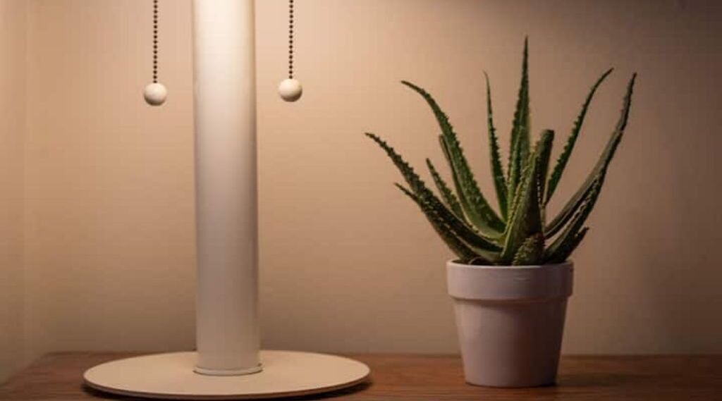 Photo of Others in Downtown West Palm Beach