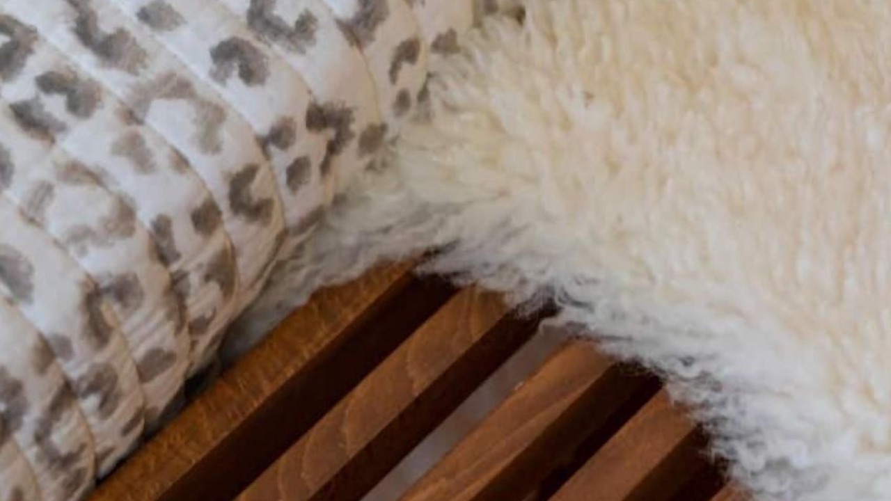 Photo of Others in Downtown West Palm Beach