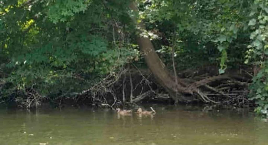 Photo of Others in Rockwood