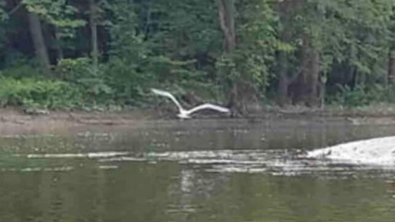 Photo of Others in Rockwood