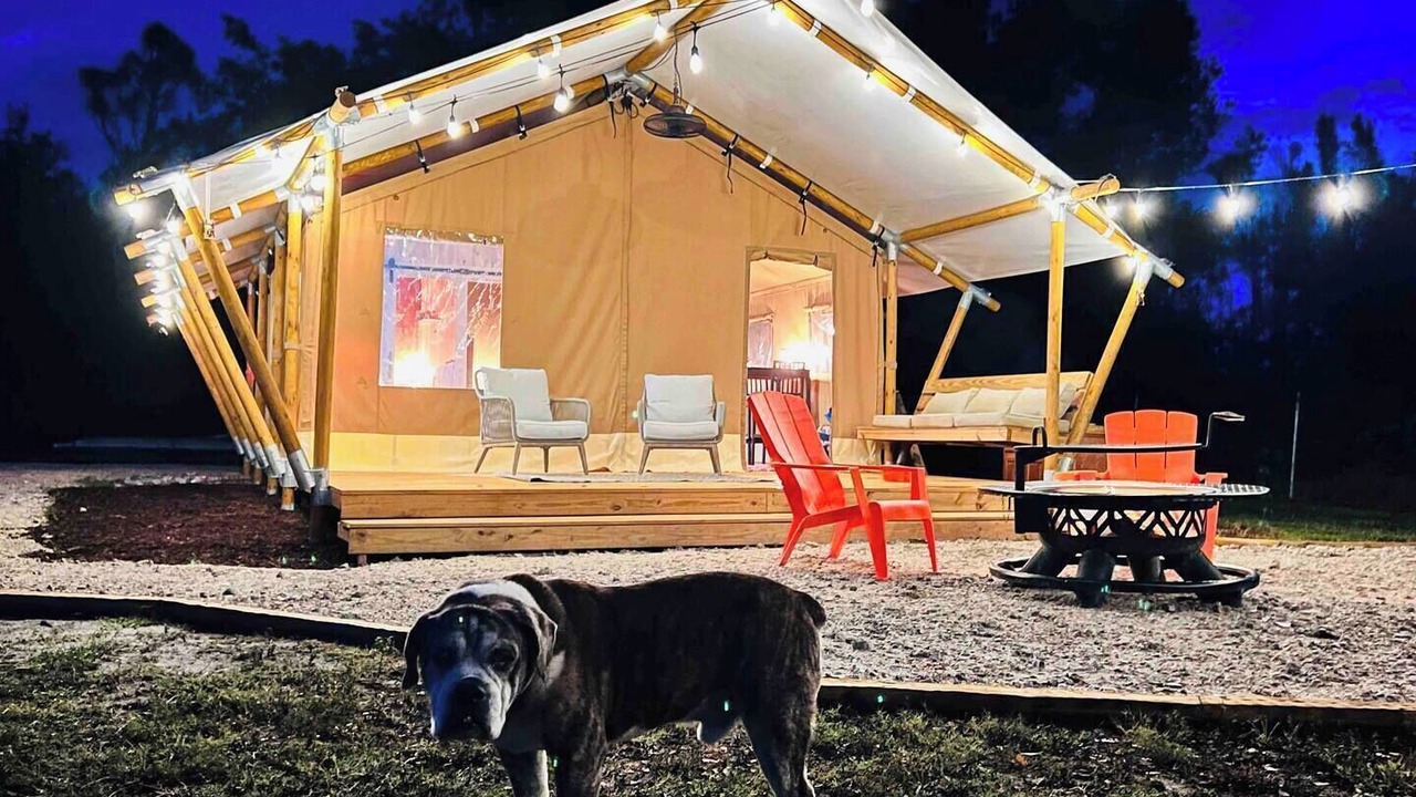 Photo of Outdoor in Punta Gorda