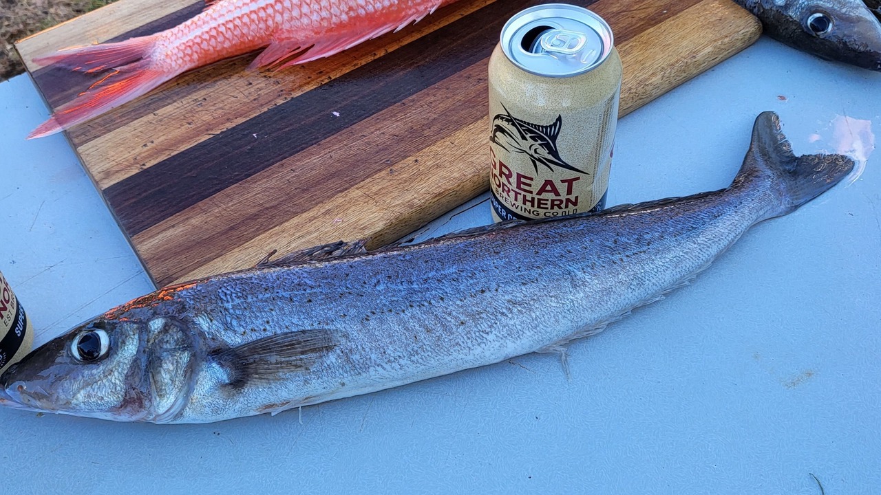 Photo of Others in Baudin Beach