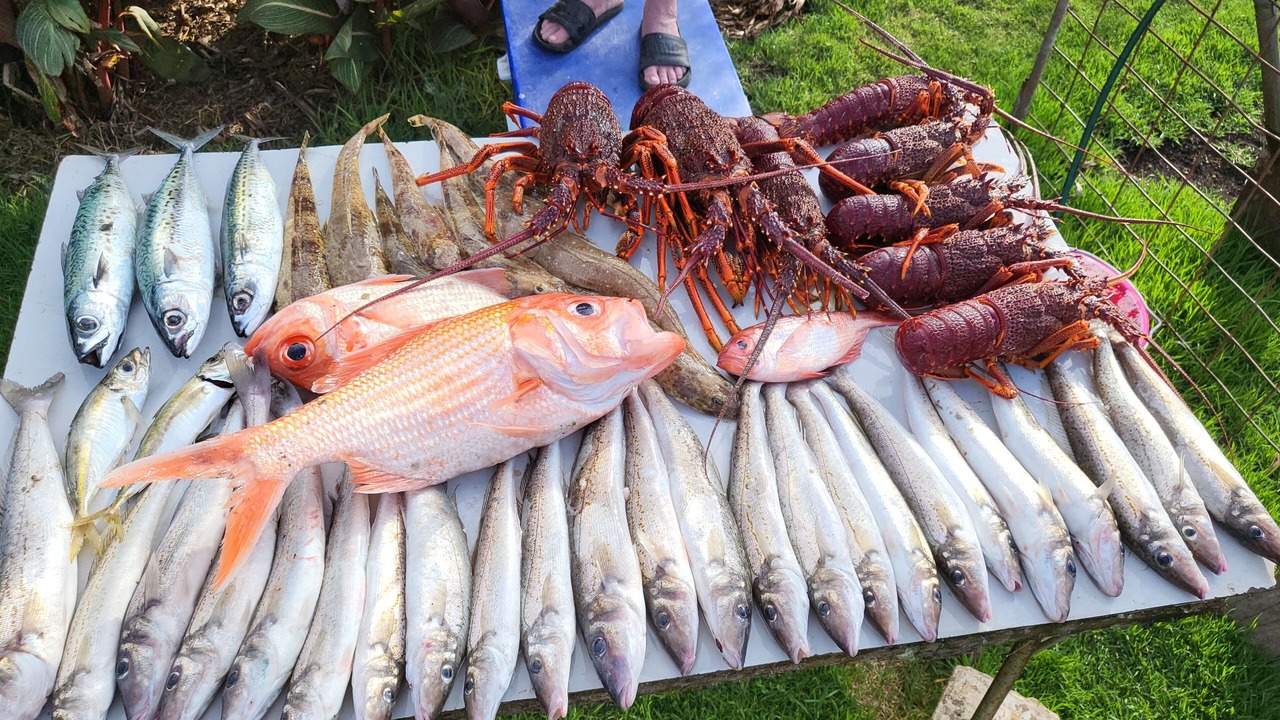 Photo of Others in Baudin Beach