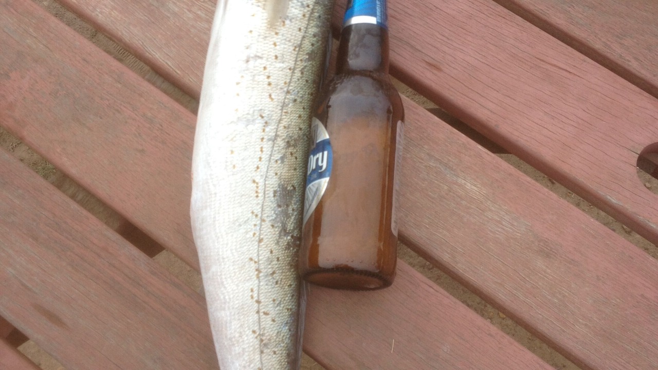 Photo of Others in Baudin Beach