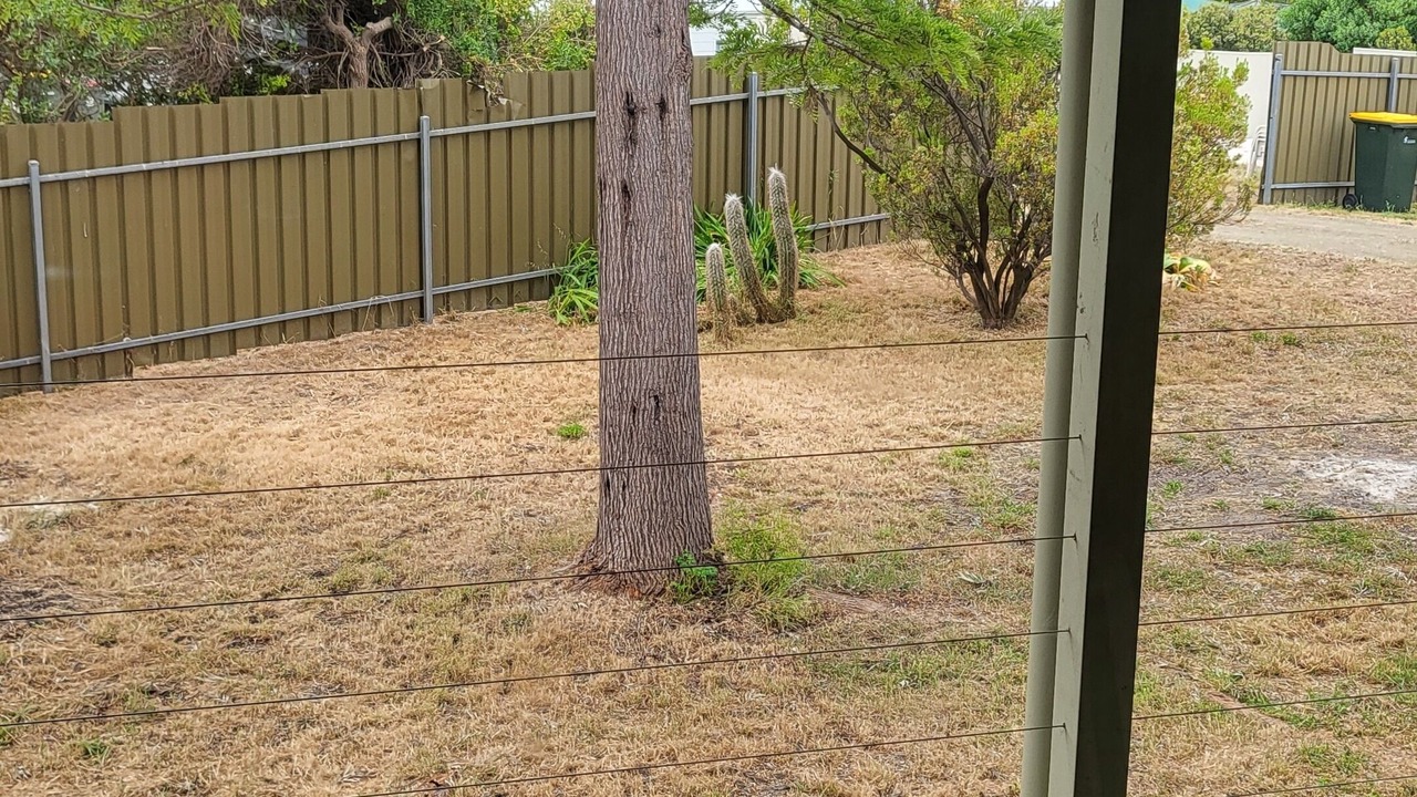 Photo of Patio Balcony in Baudin Beach