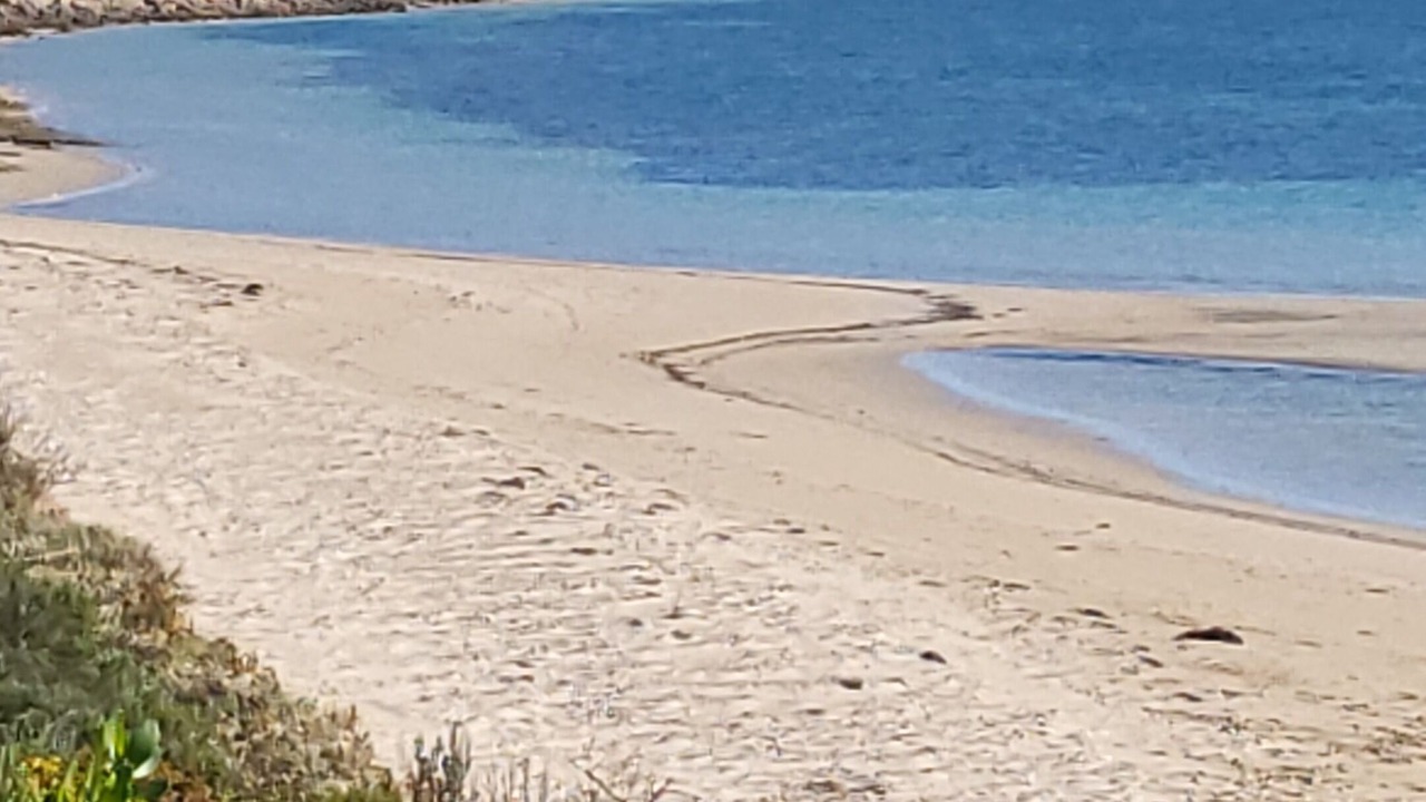 Photo of Others in Baudin Beach