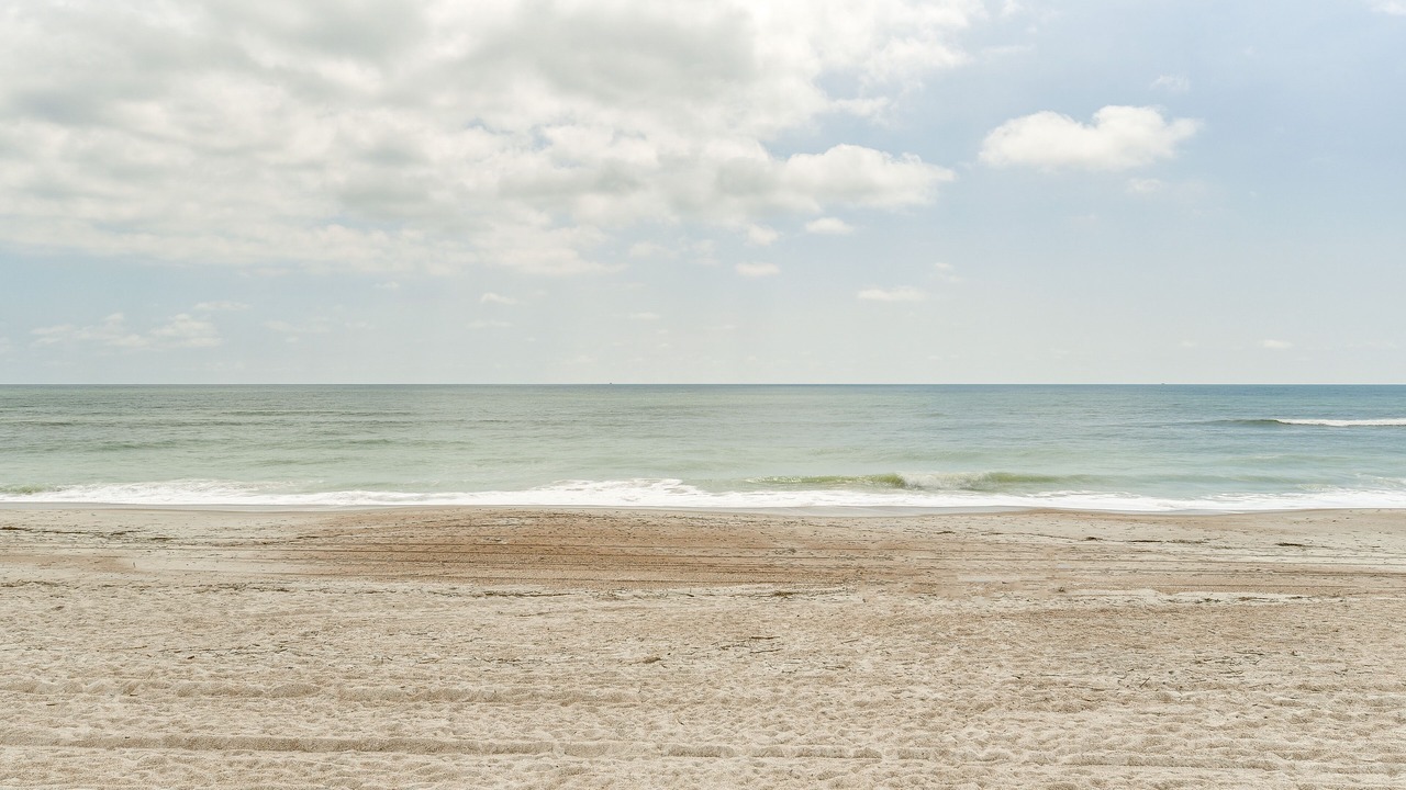 Photo of Others in Fernandina Beach