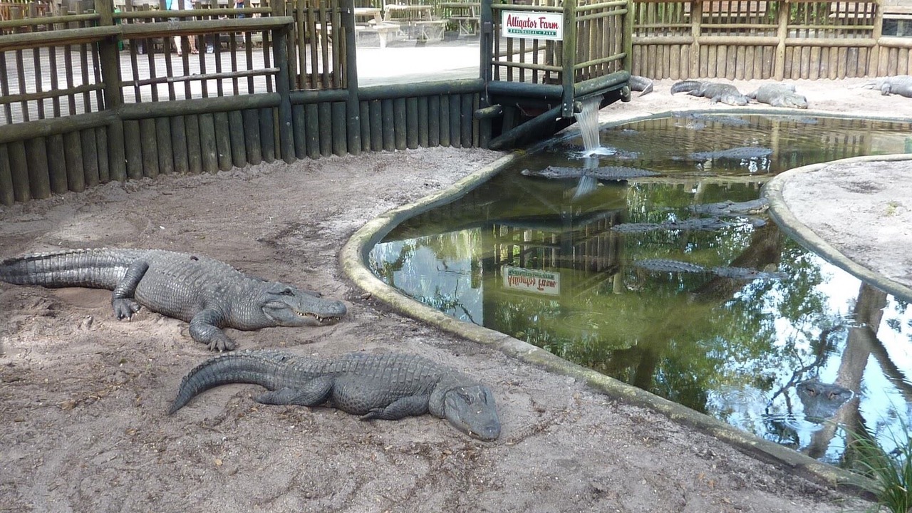 Photo of Others in Homestead