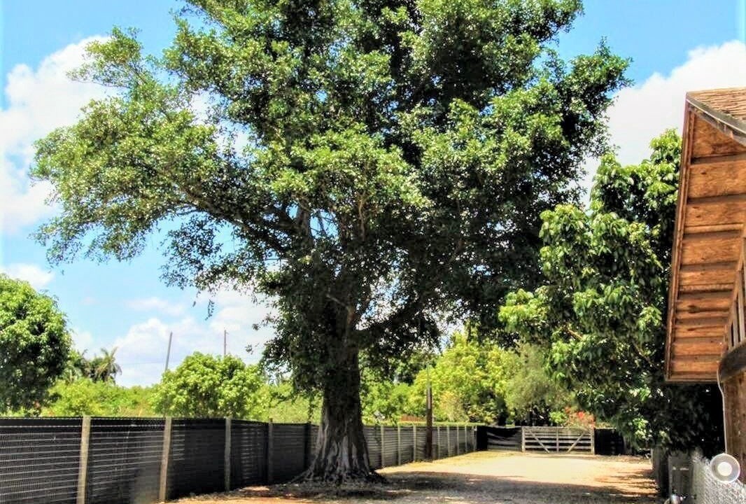 Photo of Outdoor in Homestead