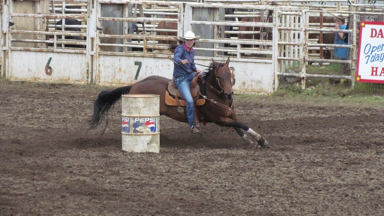 Photo of Others in Homestead