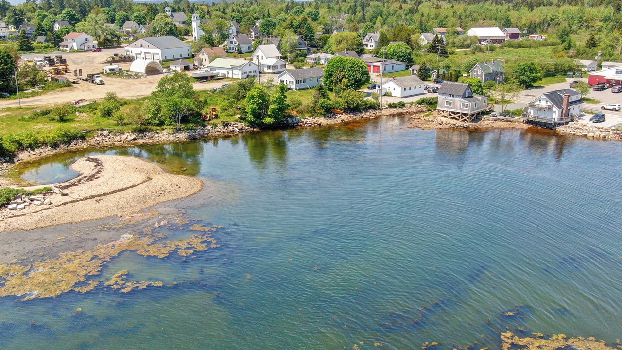Photo of Others in Winter Harbor