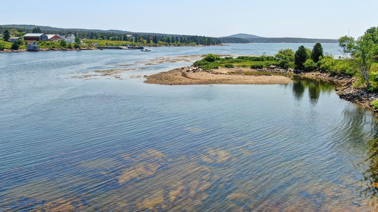 Photo of Others in Winter Harbor