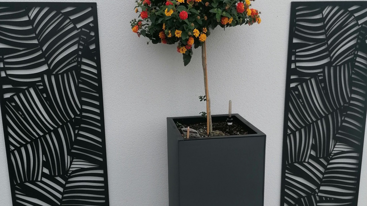 Photo of Outdoor in Asserac