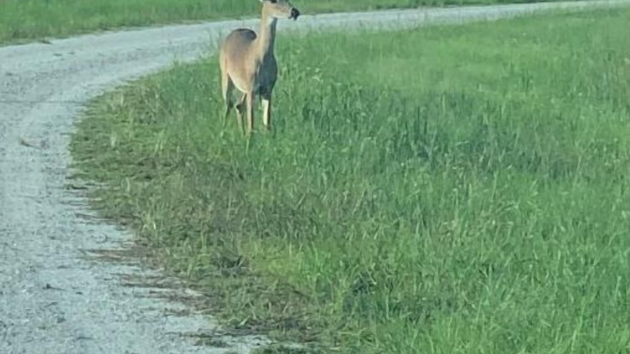 Photo of Others in River Ranch