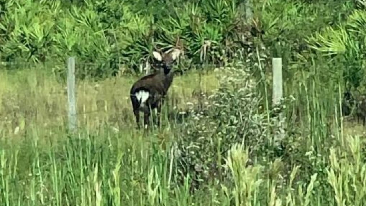 Photo of Others in River Ranch