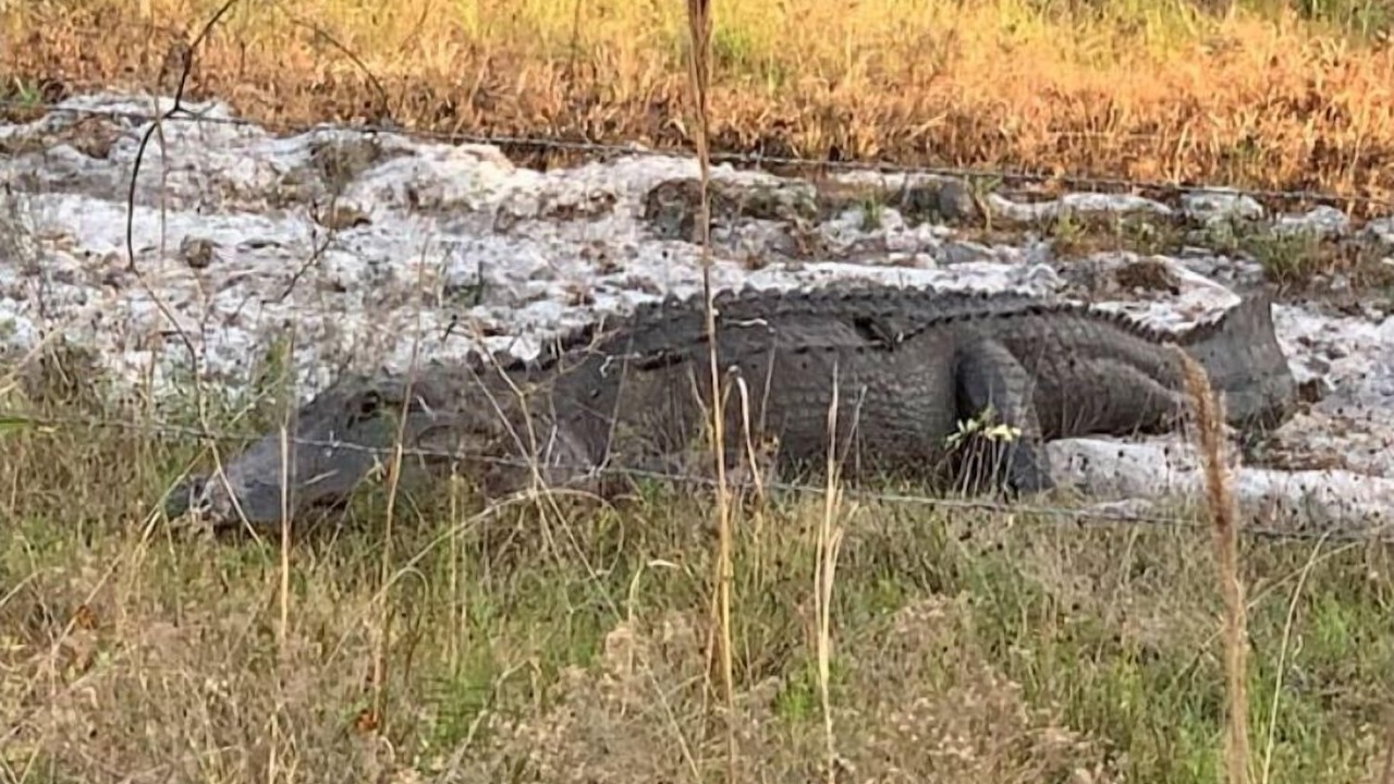 Photo of Outdoor in River Ranch
