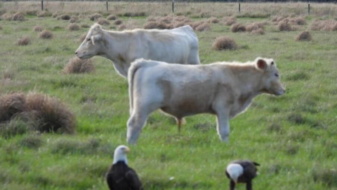 Photo of Others in River Ranch