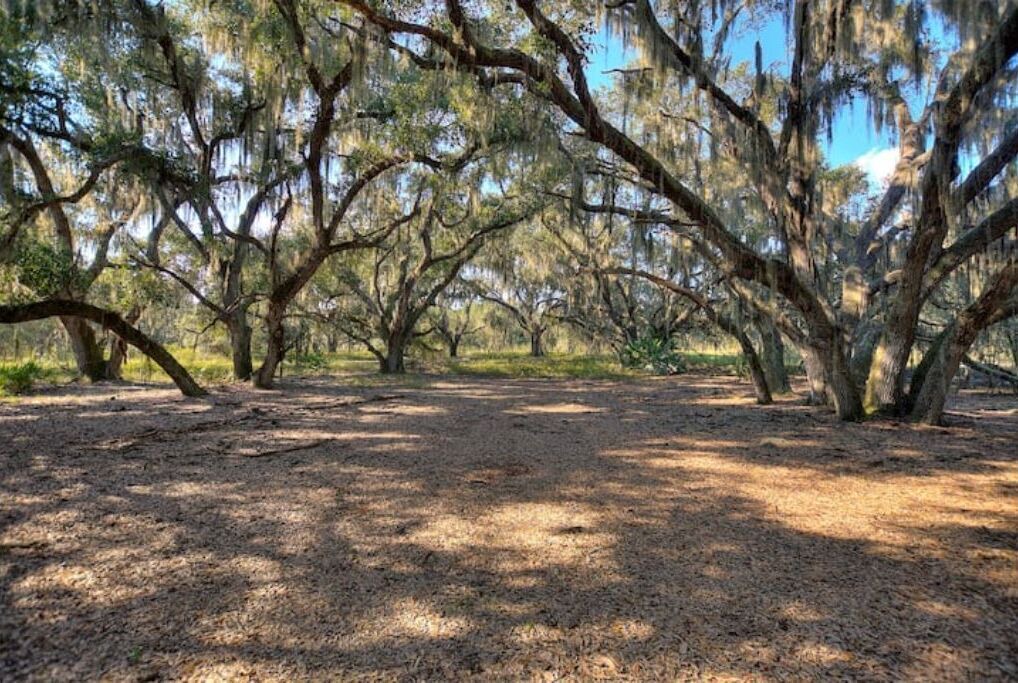 Photo of Outdoor in River Ranch