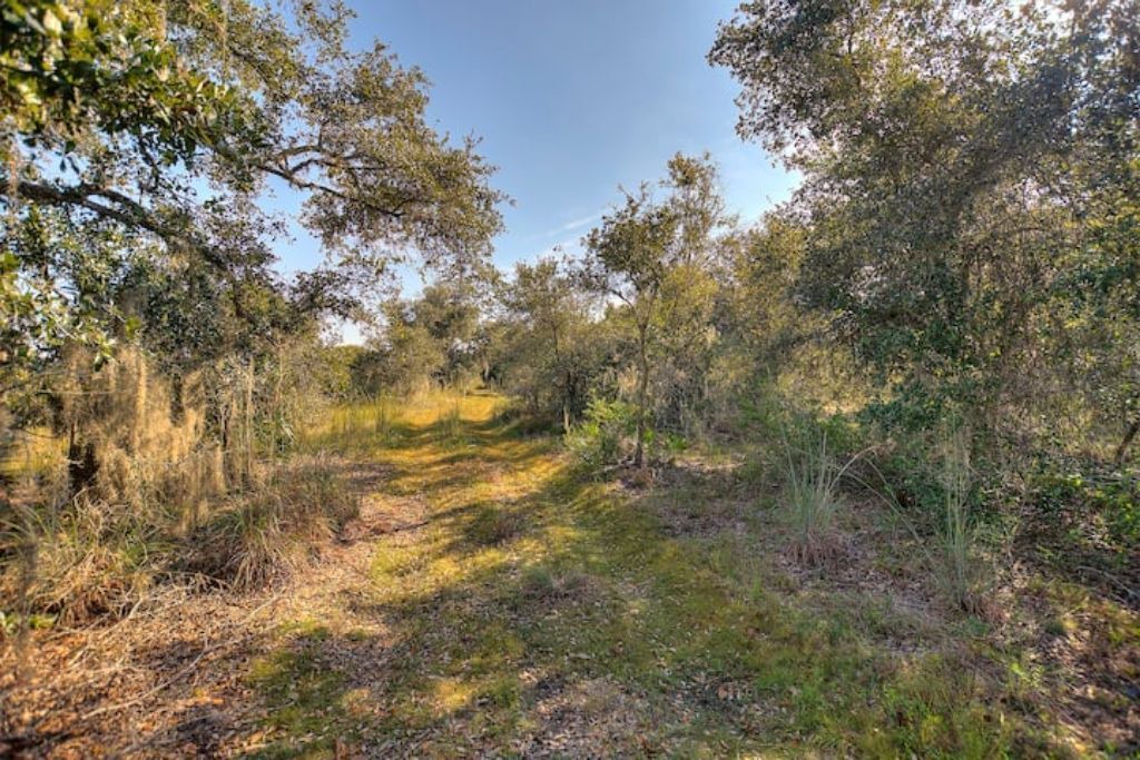 Photo of Others in River Ranch