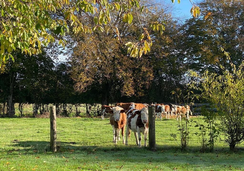 Photo of Outdoor in Criquiers
