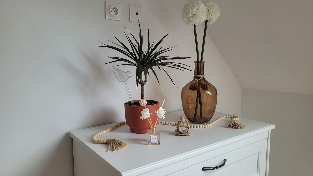 Photo of Others in Lizeray