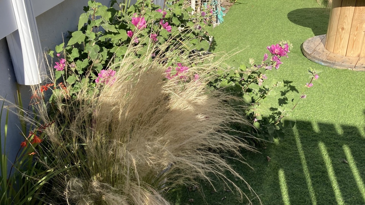 Photo of Outdoor in La Gueriniere