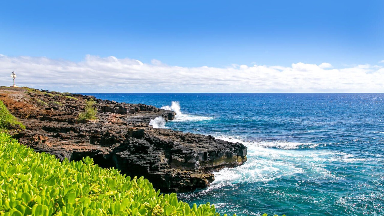 Photo of Others in Poipu