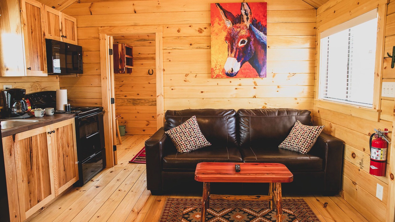 Photo of Livingroom in Amarillo
