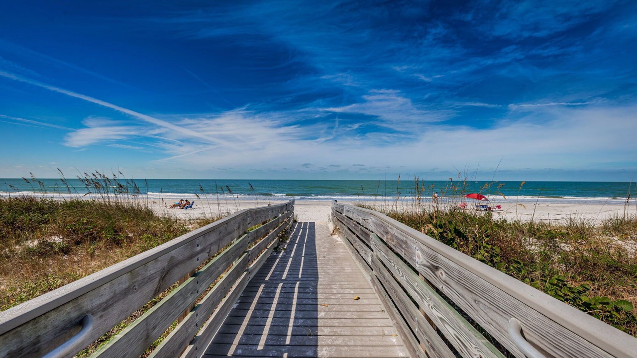 Photo of Others in Indian Rocks Beach