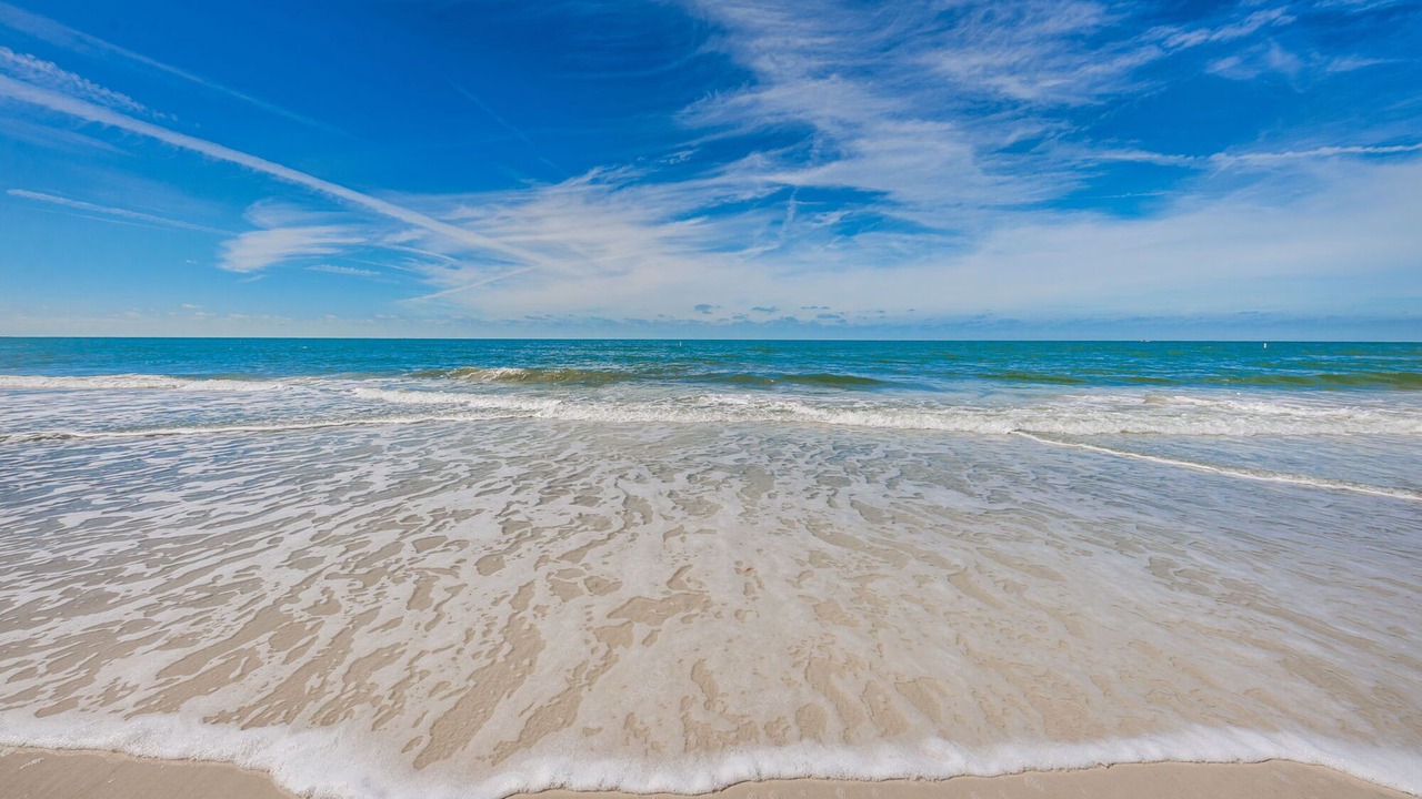 Photo of Others in Indian Rocks Beach