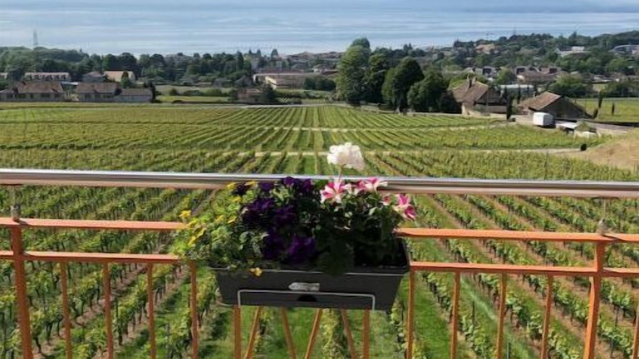 Photo of Outdoor in Mont-sur-Rolle