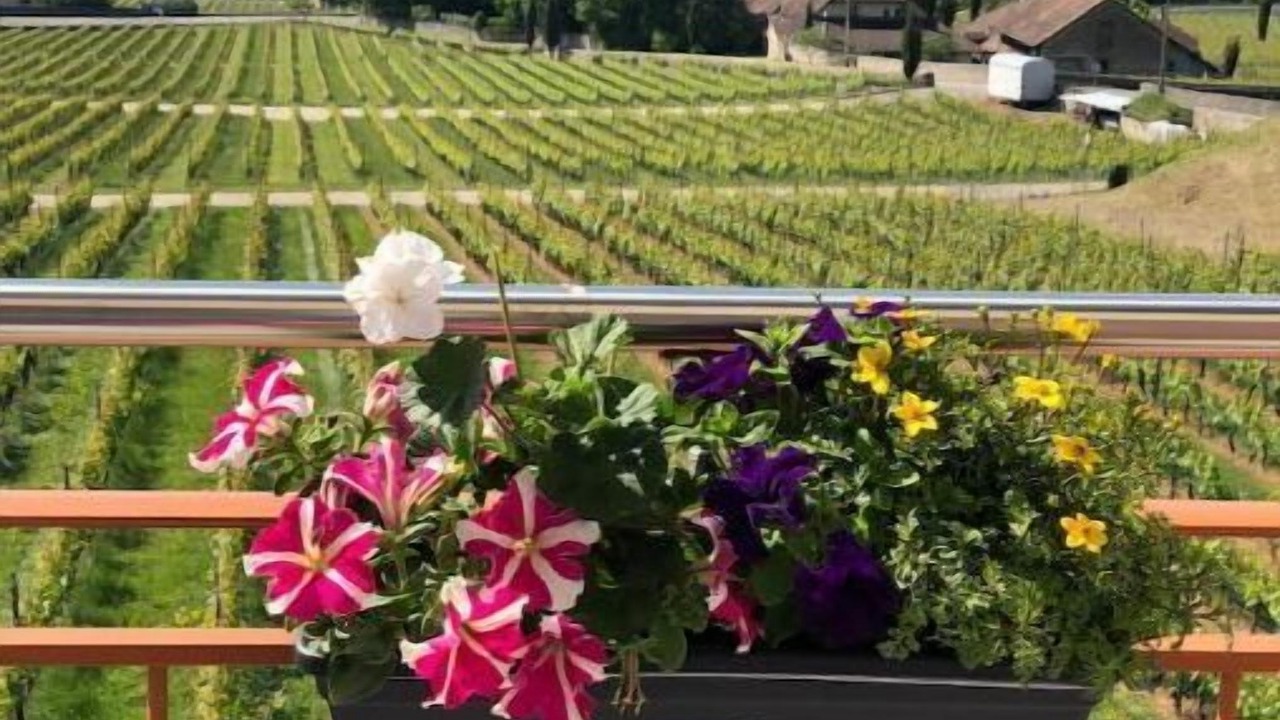 Photo of Patio Balcony in Mont-sur-Rolle