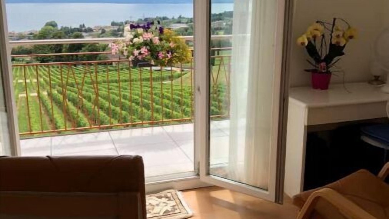 Photo of Others in Mont-sur-Rolle