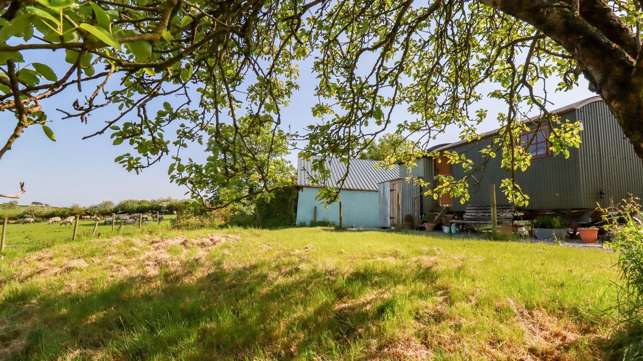 Photo of Outdoor in Brazzacott