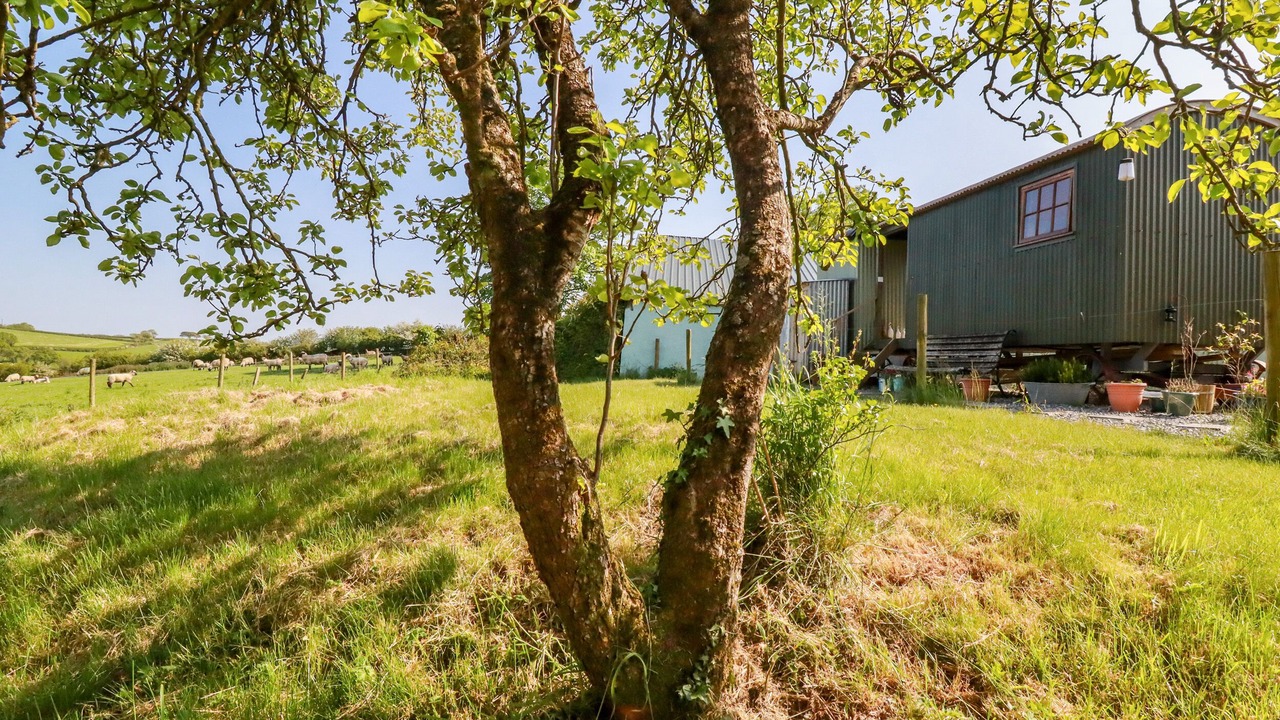 Photo of Outdoor in Brazzacott